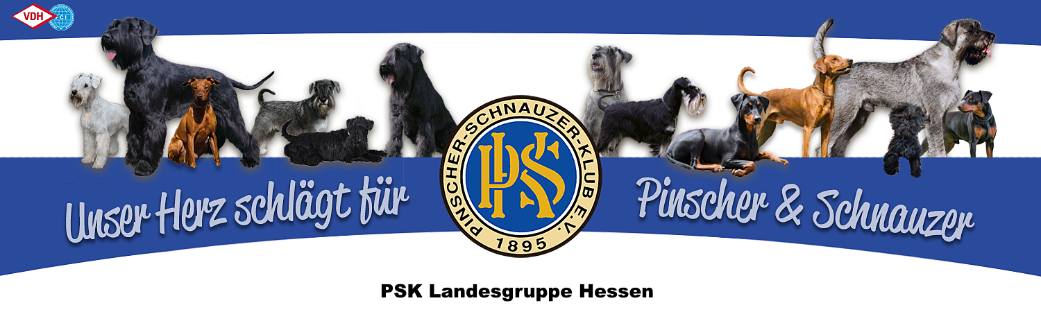 PSK-LG-Hessen